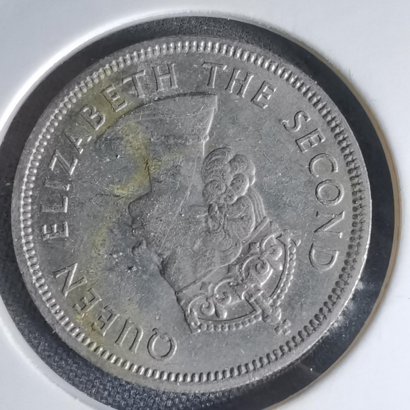 沼泽如烟--第1000场