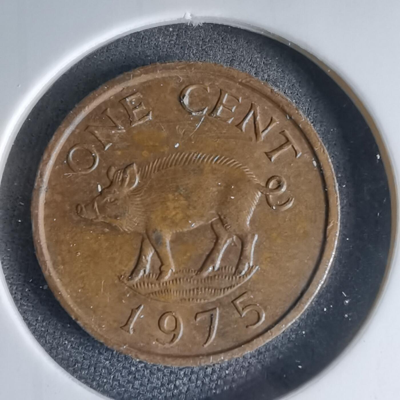 沼泽如烟--第1000场 百慕大1975年一分