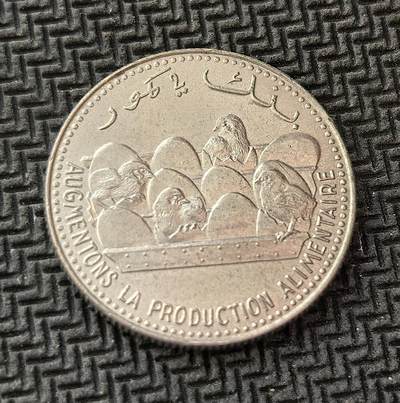 外国优质老铜币银币，周日九点倒数截拍，满百包邮，持续收拍，初八发货 - 科摩罗1982年破壳小鸡25法郎FAO纪念币，是为响应联合国粮农组织（FAO）“增加粮食生产” 倡议而铸造。正面标注 “科摩罗中央银行”，背面的破壳小鸡图案，体现了岛国对农业发展与粮食安全的重视。