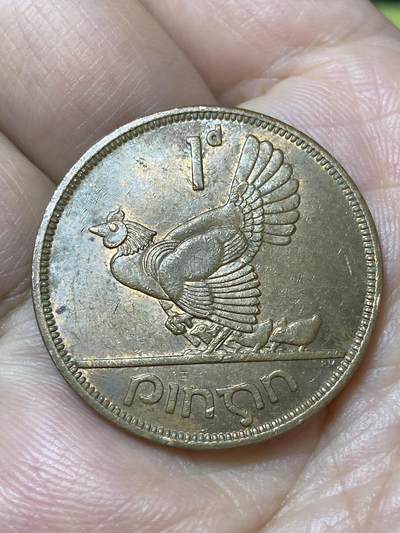 2026年第三十一场(总第二百场)英国一线回流散币新春特拍第三场(免佣金) - 爱尔兰🇮🇪1965年1便士(共和国时期第一套)