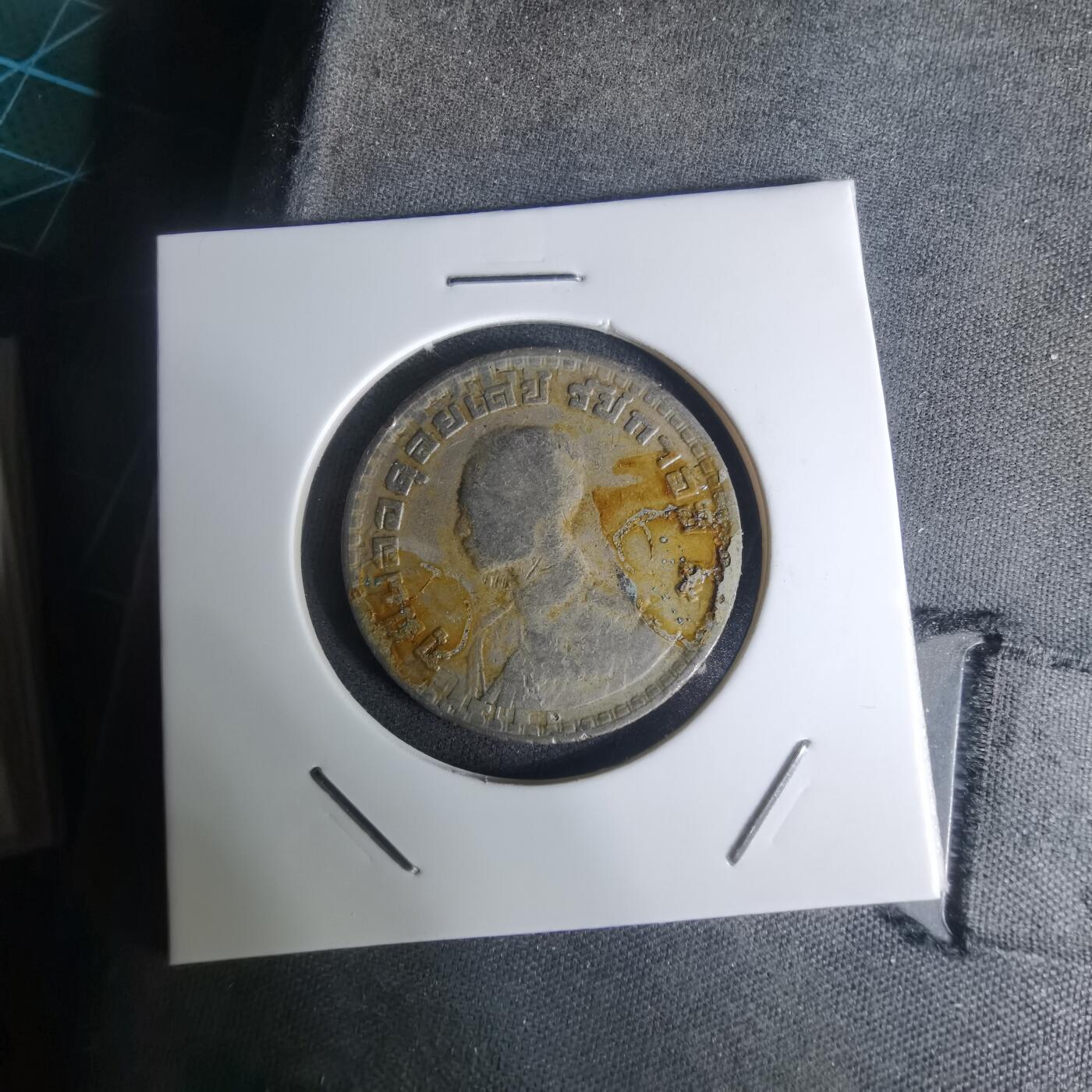 沼泽如烟--第1003场 泰国