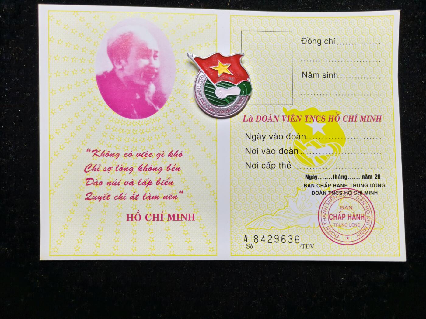 马到成功 迎新年  精品专场 越南共产主义青年团证章一套