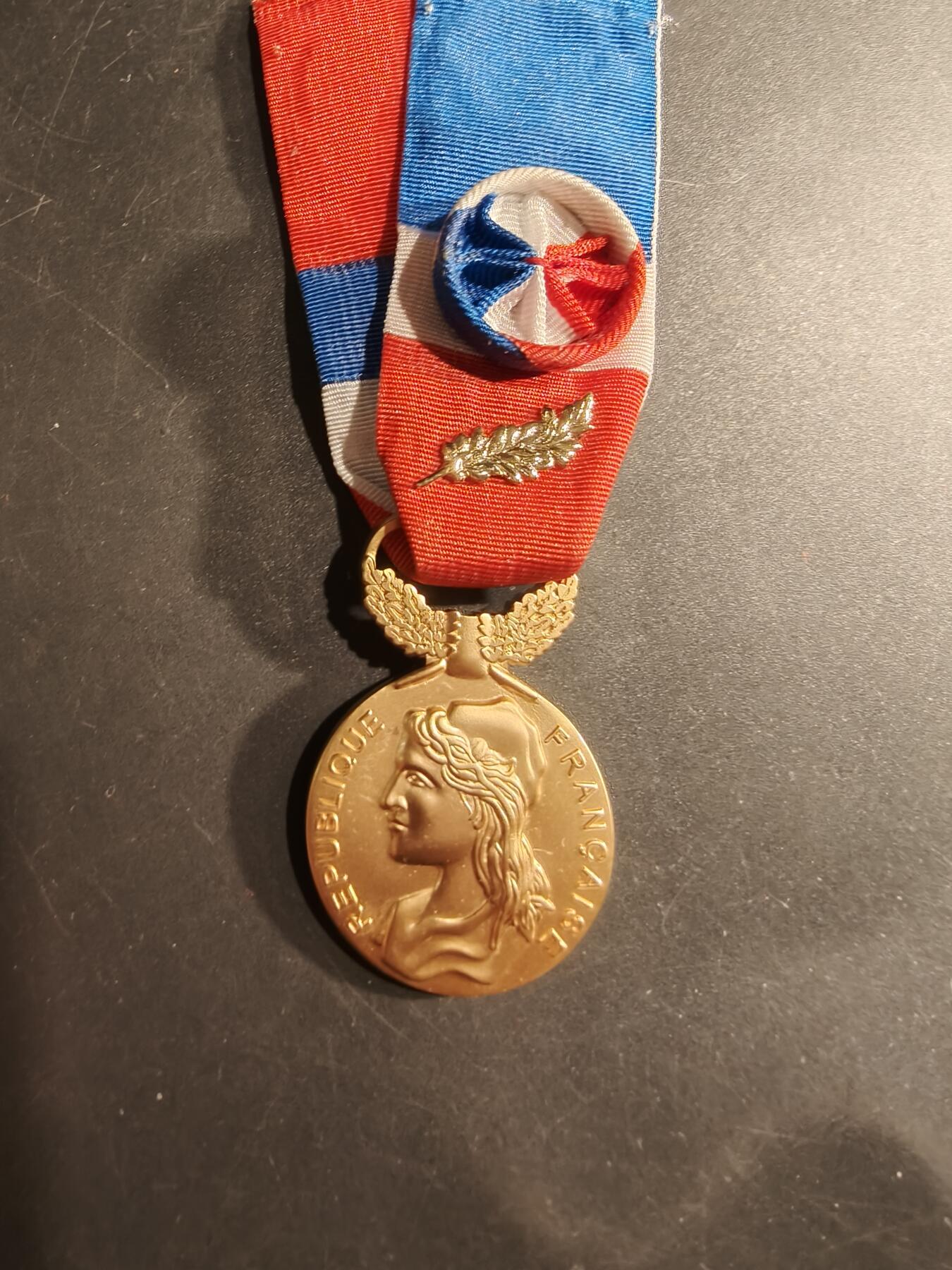 老王徽章第184期 法国金级劳动荣誉奖章    2016年实发   金棕榈勋饰