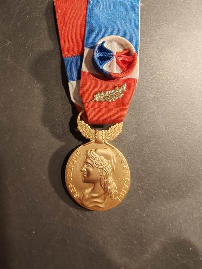 老王徽章第184期 - 法国金级劳动荣誉奖章    2016年实发   金棕榈勋饰