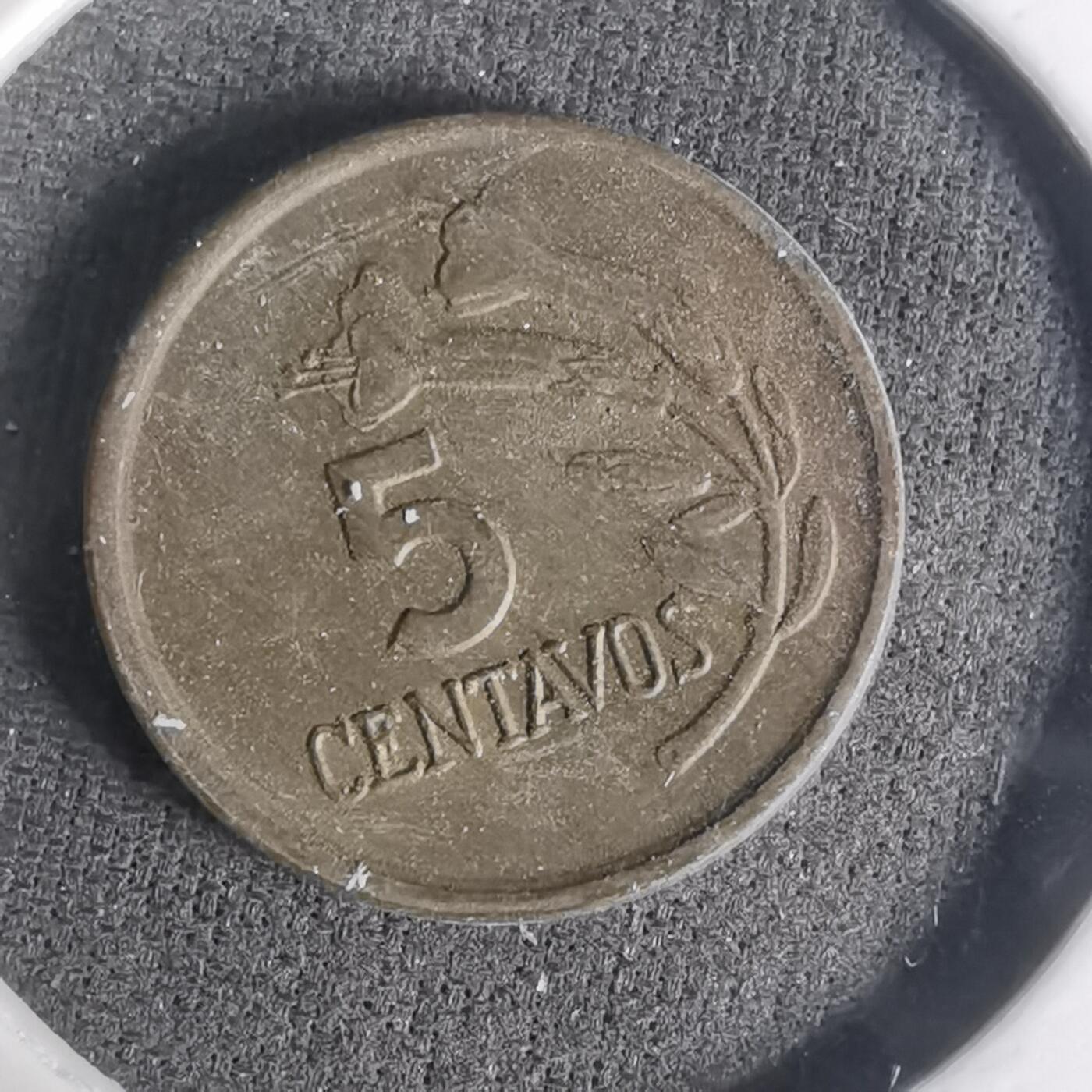 沼泽如烟--第1003场