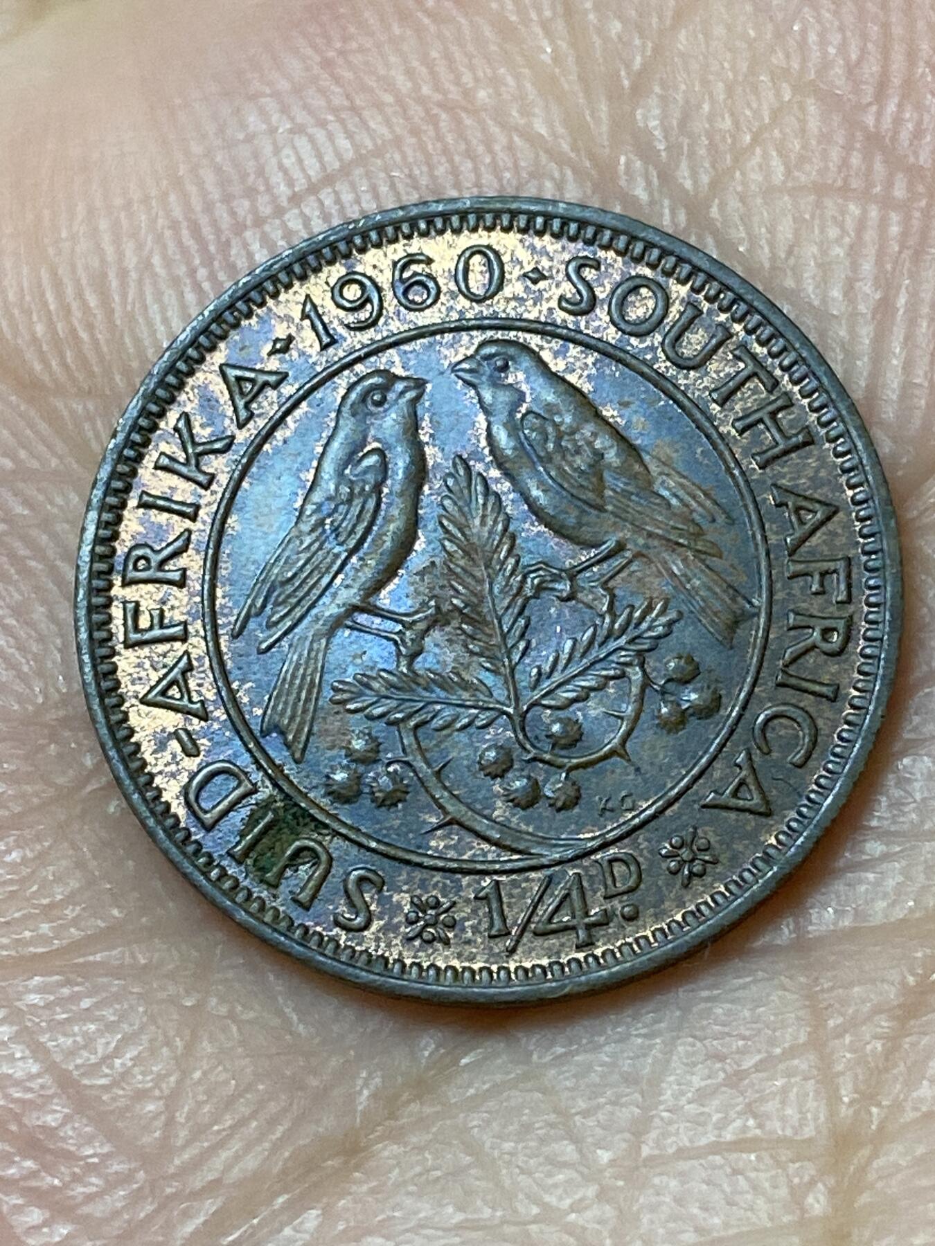2026年第三十一场(总第二百场)英国一线回流散币新春特拍第三场(免佣金) 带光好品–英属南非1960年1/4便士(等值1法新，伊丽莎白二世青年桂冠)