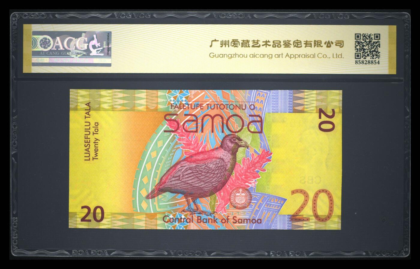 《艾美收藏》第233期-2.23周一外币精品荟萃(春节第二拍) 萨摩亚2008年首发年初版首发KT冠20塔拉爱藏评级68分万位尾8，纸质版超难上分品种 高分难得，漂亮的齿嘴鸠，08年IBNS获奖钞 Pick#40a