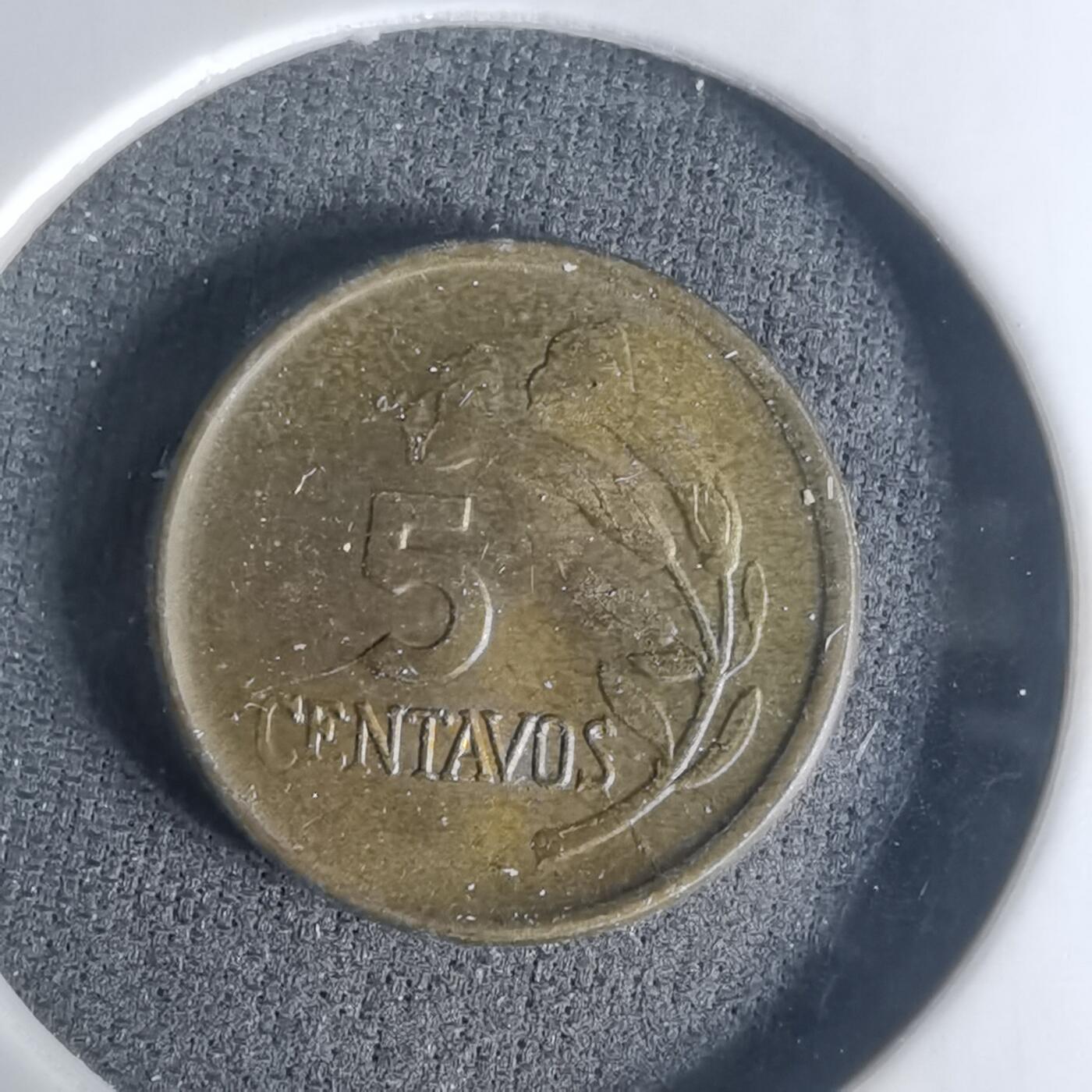 沼泽如烟--第1003场