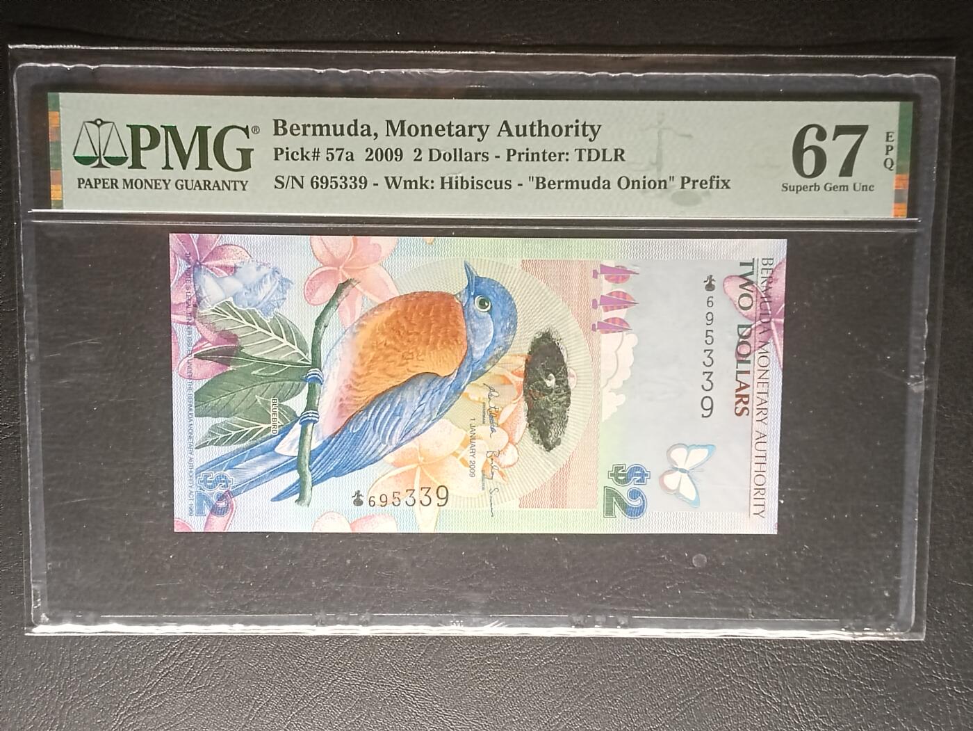 【年后首拍！】2026二月第三期，总217期 百慕大2009年2元PMG67epq，少见首冠洋葱冠无47，蓝鸟