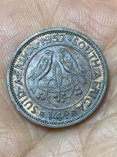 2026年第三十一场(总第二百场)英国一线回流散币新春特拍第三场(免佣金) - 英属南非1957年1/4便士(等值1法新，伊丽莎白二世青年桂冠)
