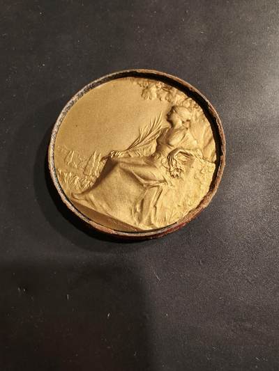 老王徽章第184期 - 法国1925年第32届拉罗谢尔地区节日镀金大铜章    原盒     勒内鲍迪雄作品     直径46mm     重量41.3g