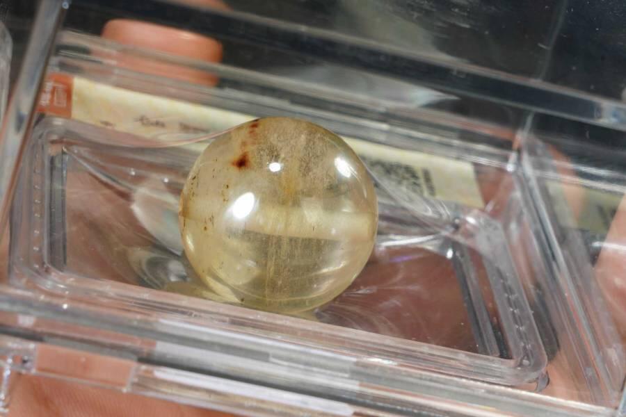 上海都达杂项专场三十三【年后发货全场包邮】 