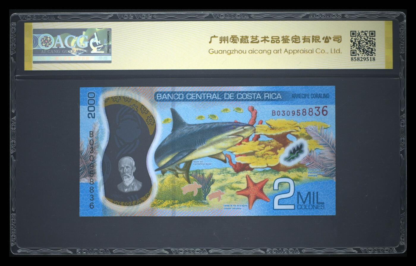 《艾美收藏》第233期-2.23周一外币精品荟萃(春节第二拍)