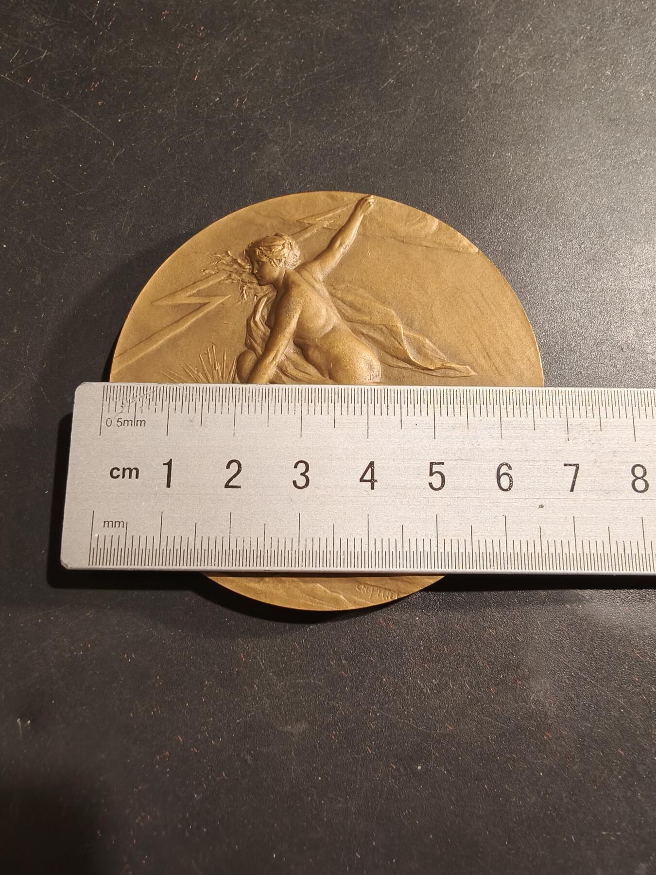 老王徽章第184期 法国电力建设总工会大铜章    大师皮列作品     原盒     直径68mm     重量150g