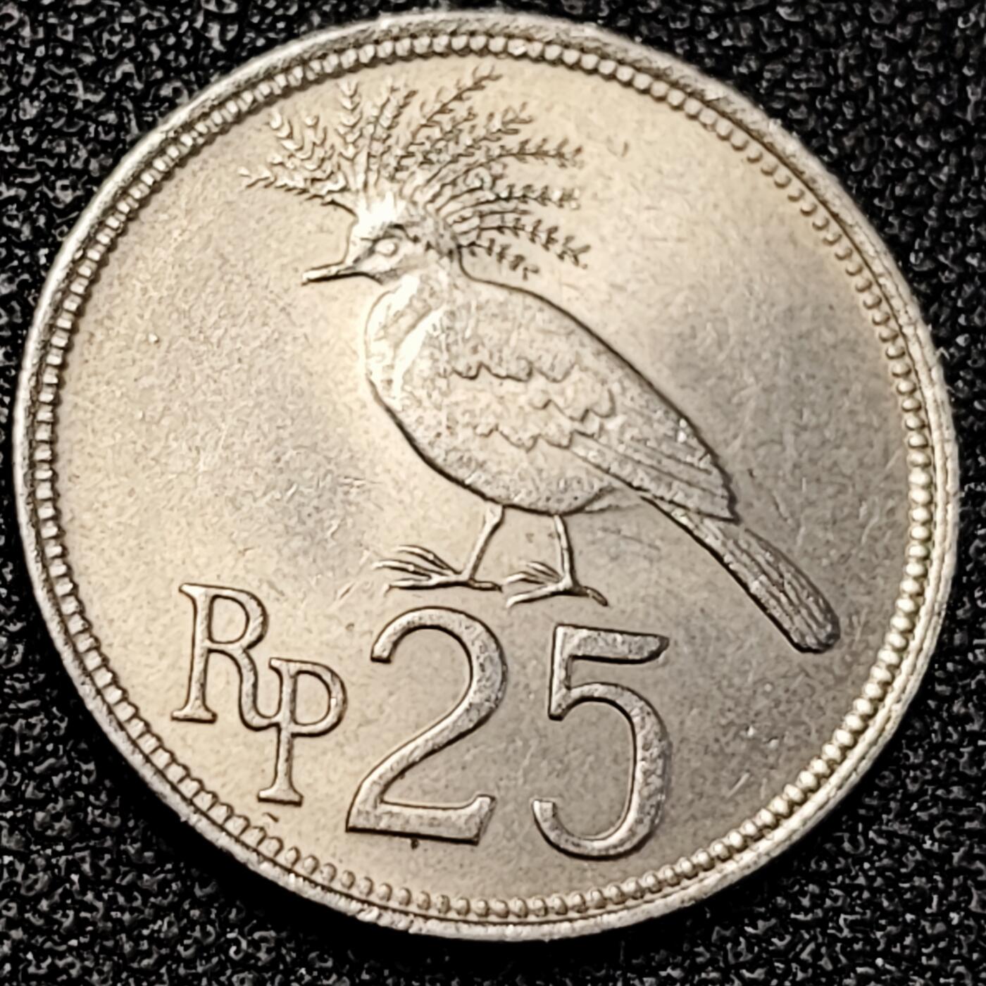 泉币菌-第195场- 新年快乐 新年第三场 本场拍品多 请提前出价 原光美品 印度尼西亚 印尼25卢比铜镍币 维多利亚冠鸽 20毫米3.5克