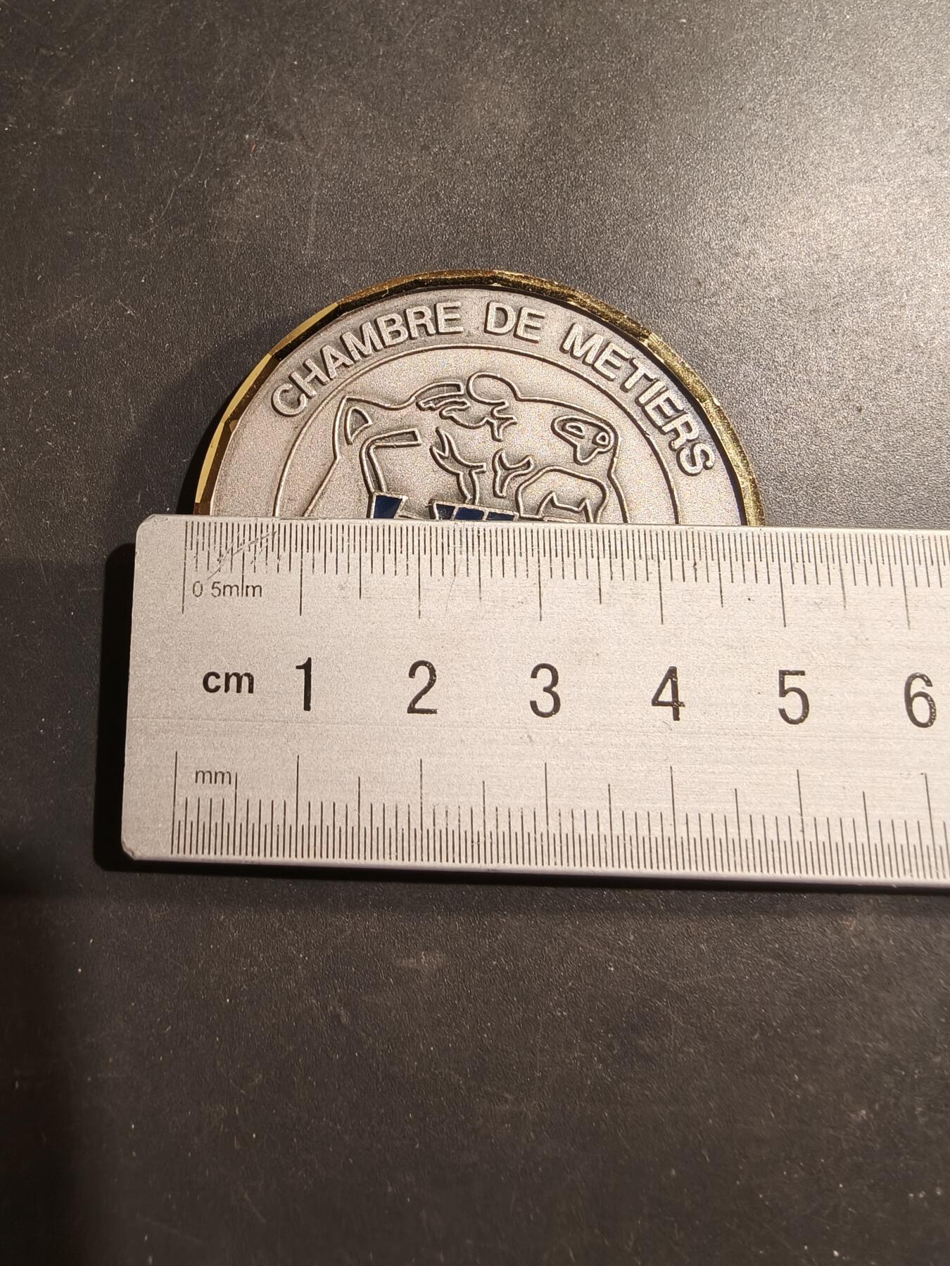 老王徽章第184期 法国贝尔福地区手工业与工艺商会纪念章     原盒    直径50mm    重量58.3g