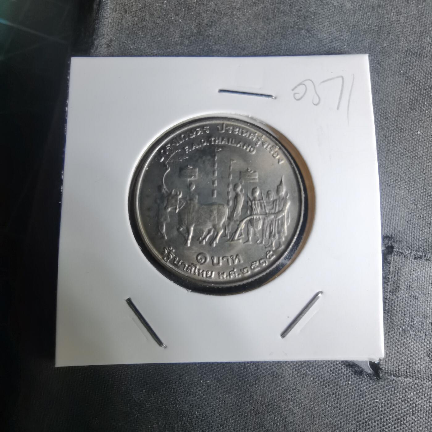 沼泽如烟--第1003场 泰国