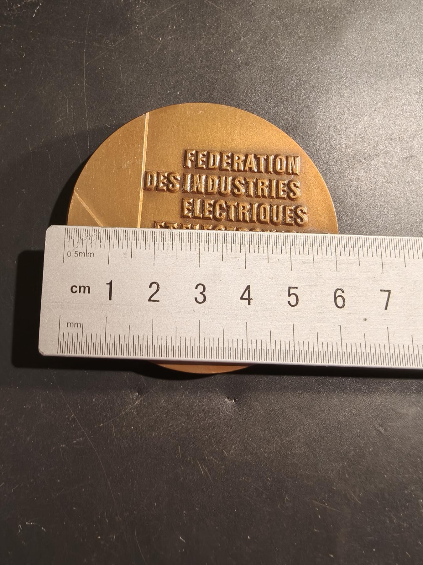 老王徽章第184期 法国电机和电子工业联合会大铜章     1988年     原盒盒子无内衬      直径60mm     重量196.3g