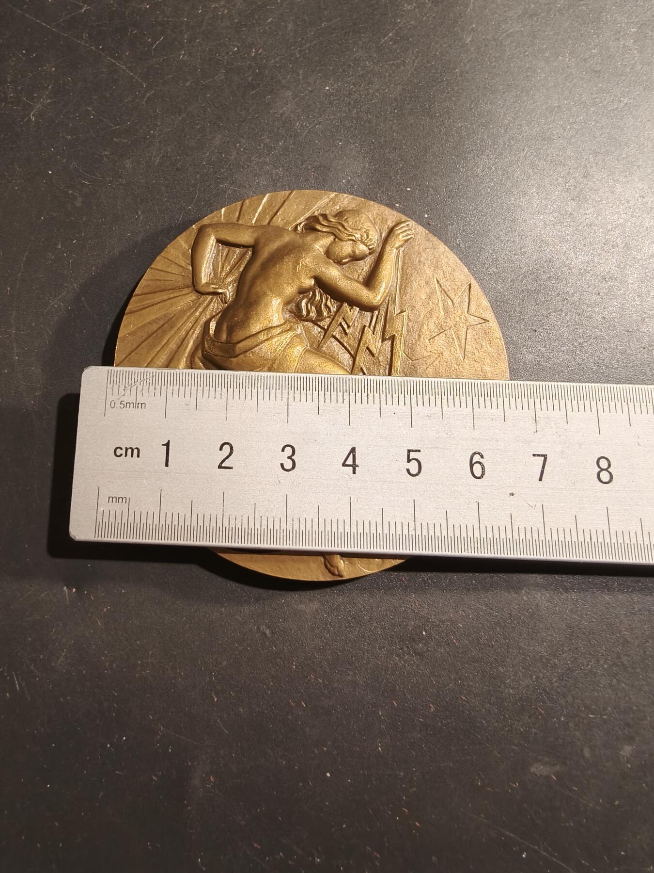 老王徽章第184期 法国电气工程总工会大铜章    原盒无盖     直径68mm    重量161g