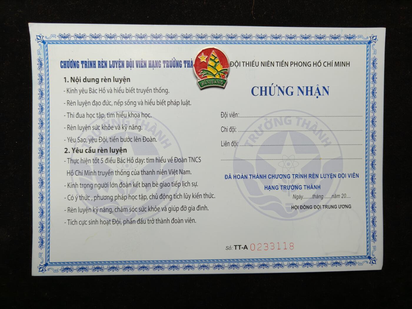 马到成功 迎新年  精品专场 越南胡志明少先锋队证章一套 