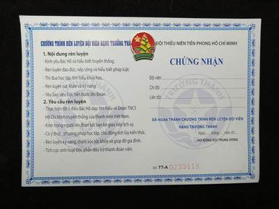 马到成功 迎新年  精品专场 - 越南胡志明少先锋队证章一套 