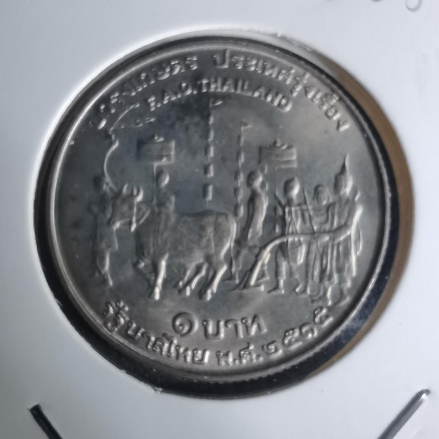 沼泽如烟--第1003场 泰国