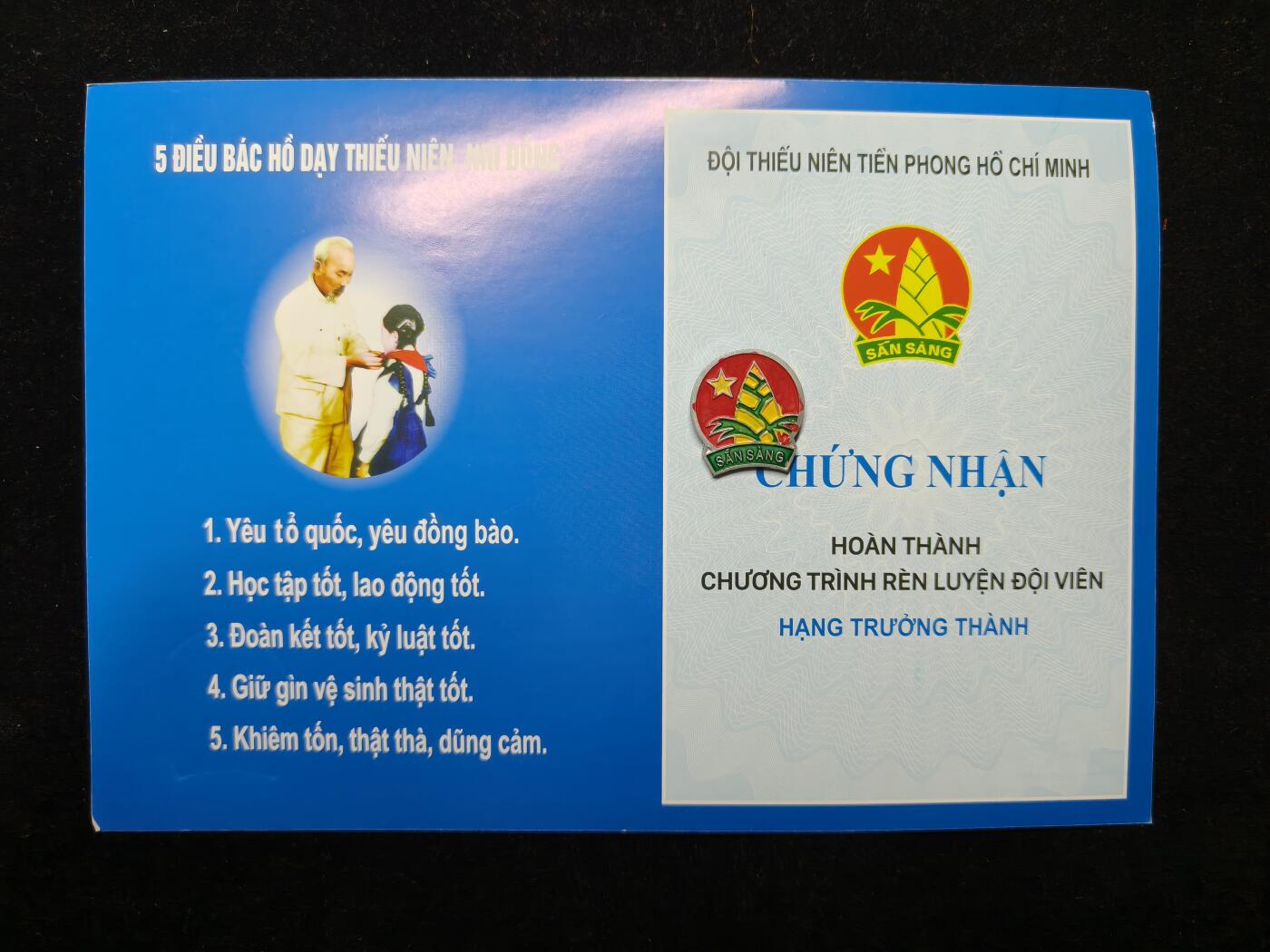 马到成功 迎新年  精品专场 越南胡志明少先锋队证章一套 