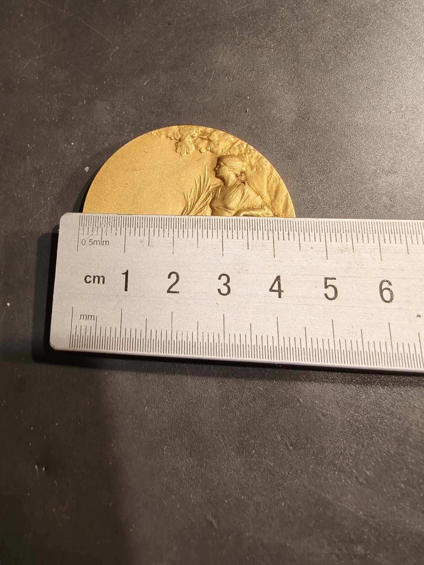 老王徽章第184期 法国1925年第32届拉罗谢尔地区节日镀金大铜章    原盒     勒内鲍迪雄作品     直径46mm     重量41.7g