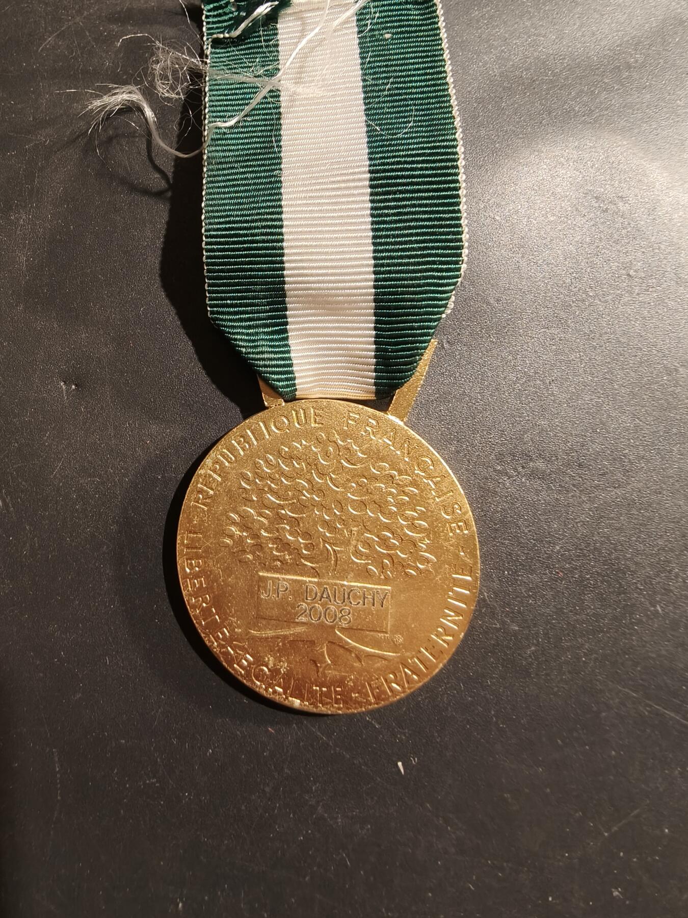 老王徽章第184期 法国金级地方嘉奖奖章    2008年实发版