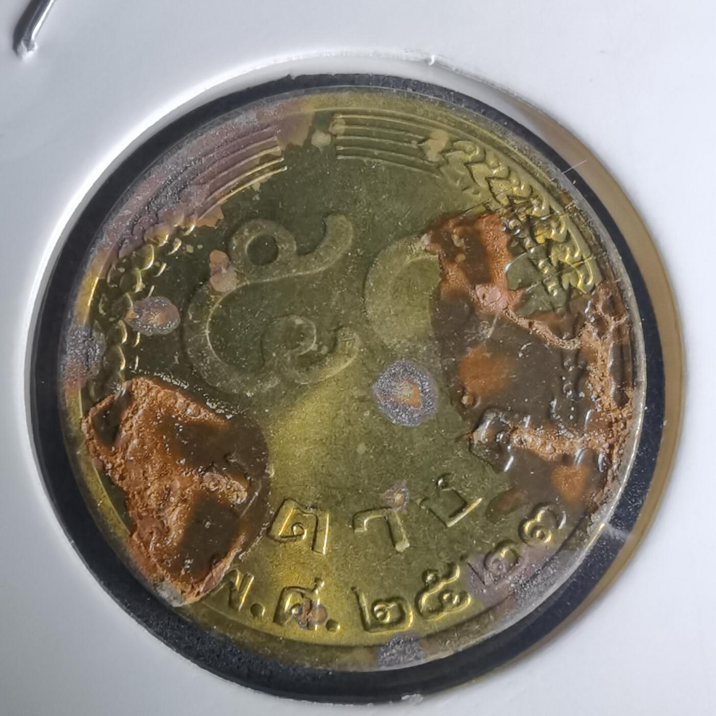 沼泽如烟--第1003场 泰国