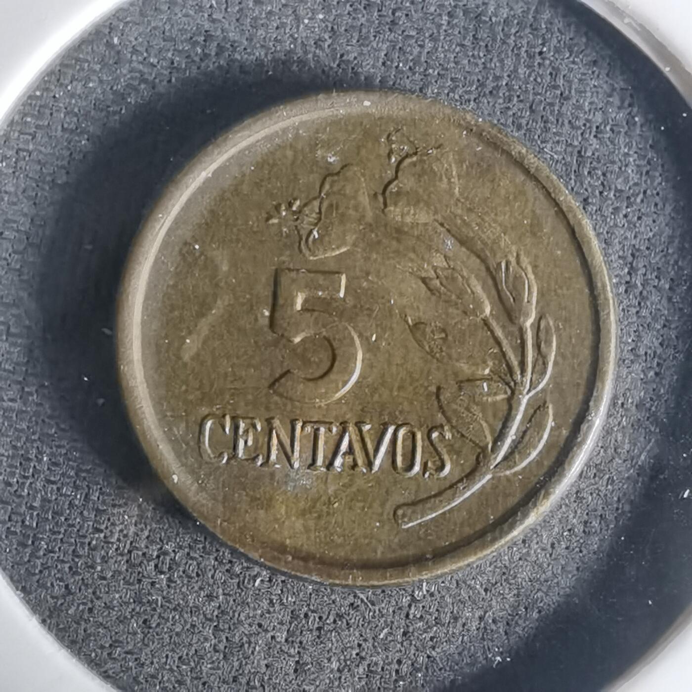 沼泽如烟--第1003场