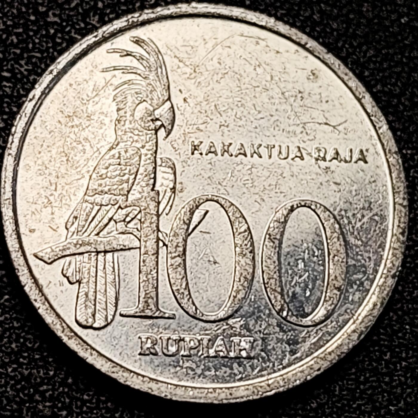 泉币菌-第195场- 新年快乐 新年第三场 本场拍品多 请提前出价 1999年 印度尼西亚 100卢比铝币 凤头鹦鹉 23mm