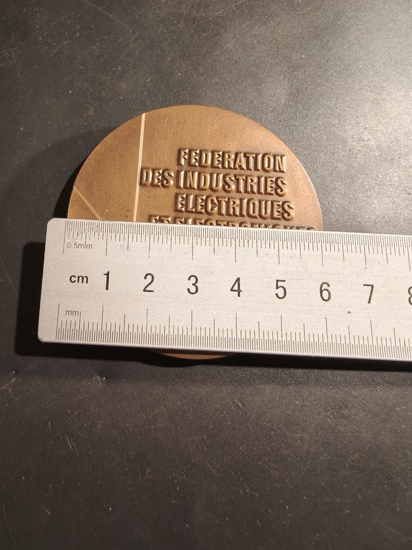 老王徽章第184期 法国电机和电子工业联合会大铜章     1988年     原盒盒子内衬损坏      直径60mm     重量192.9g