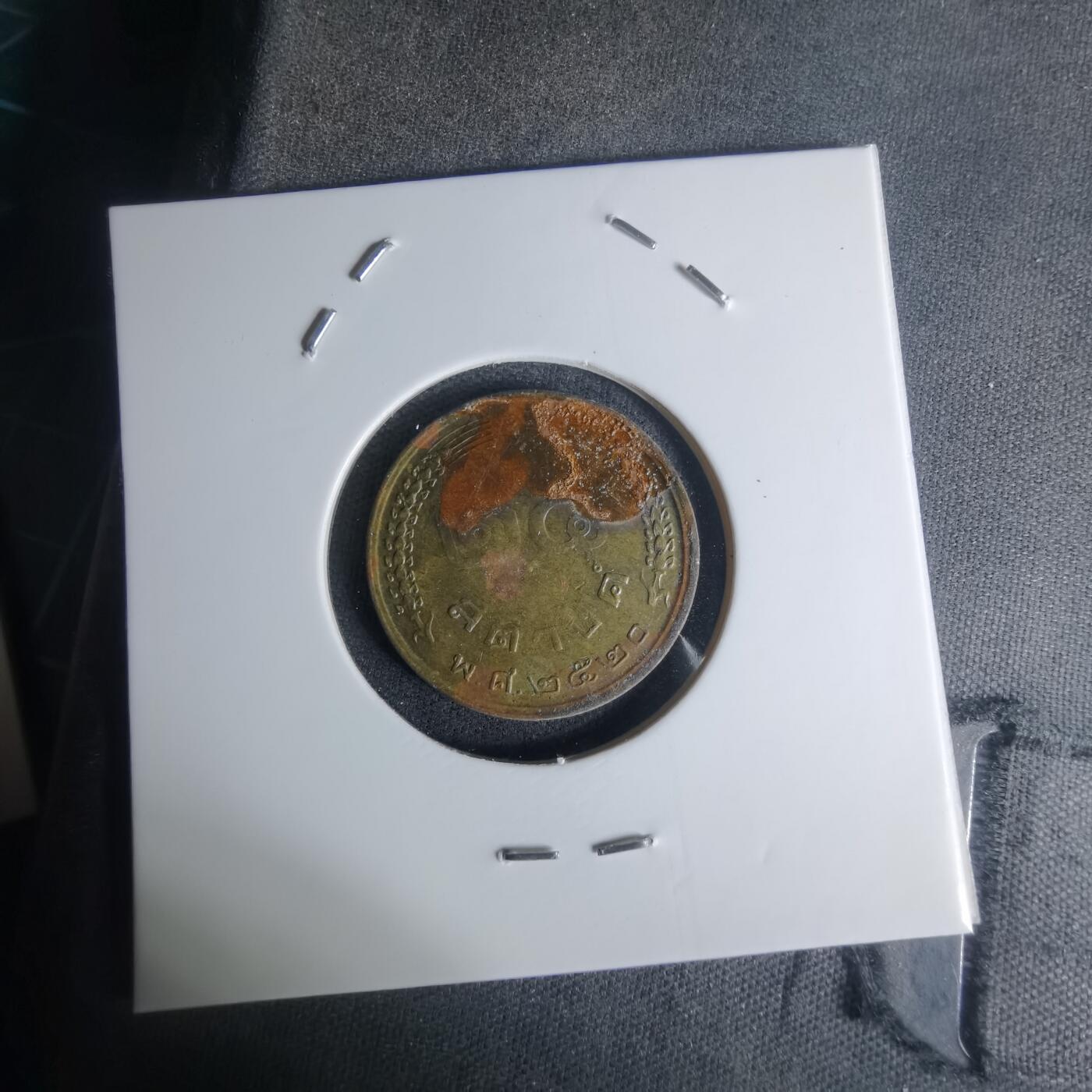 沼泽如烟--第1003场 泰国