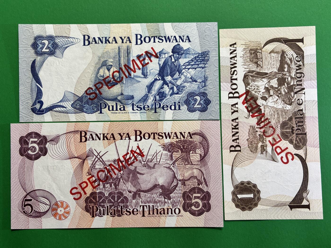 咖啡豆•收藏 2026年Mar_1st世界各国纸币样票拍卖 博茨瓦纳 1976年 1-20普拉 全新UNC同号 外国纸币样票 5枚一套