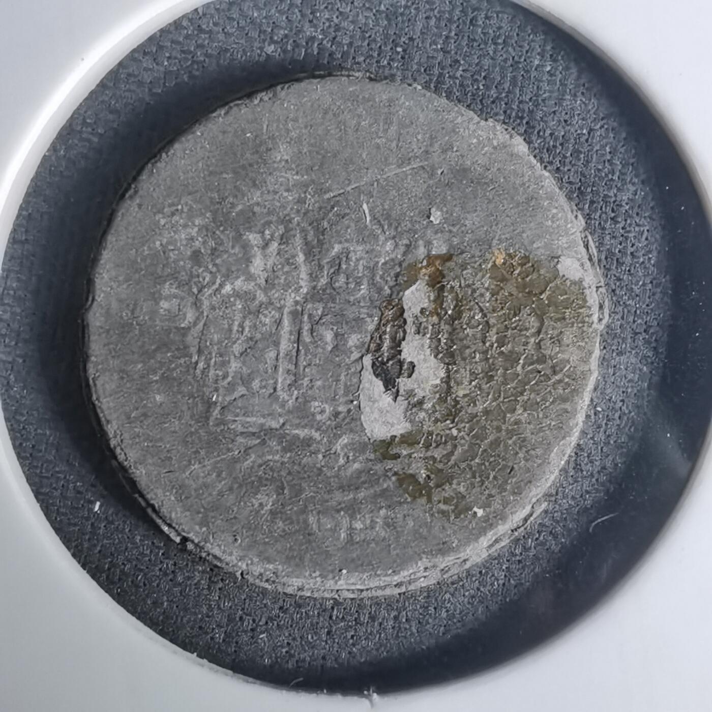 沼泽如烟--第1003场 泰国