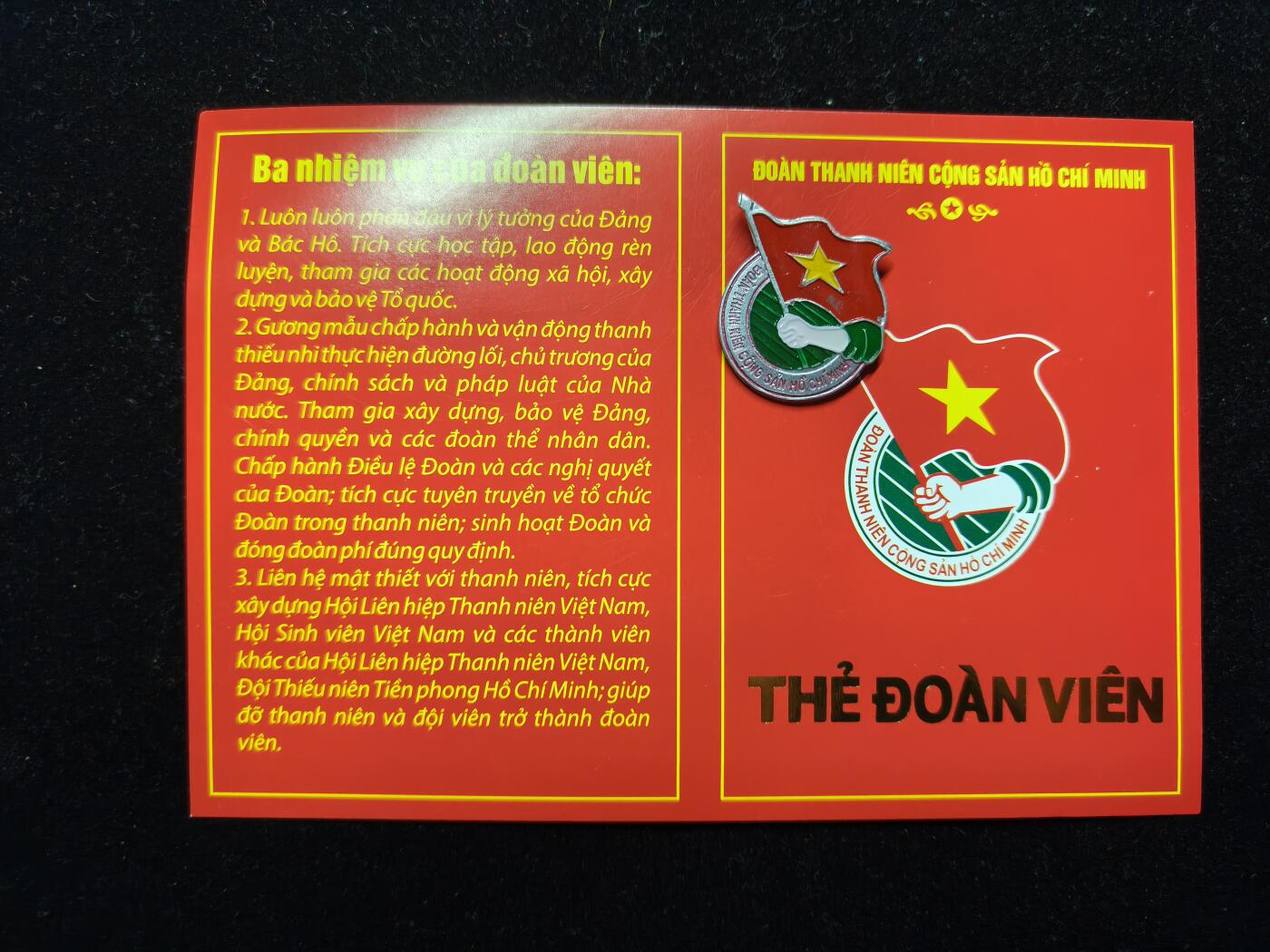 马到成功 迎新年  精品专场 越南共产主义青年团证章一套