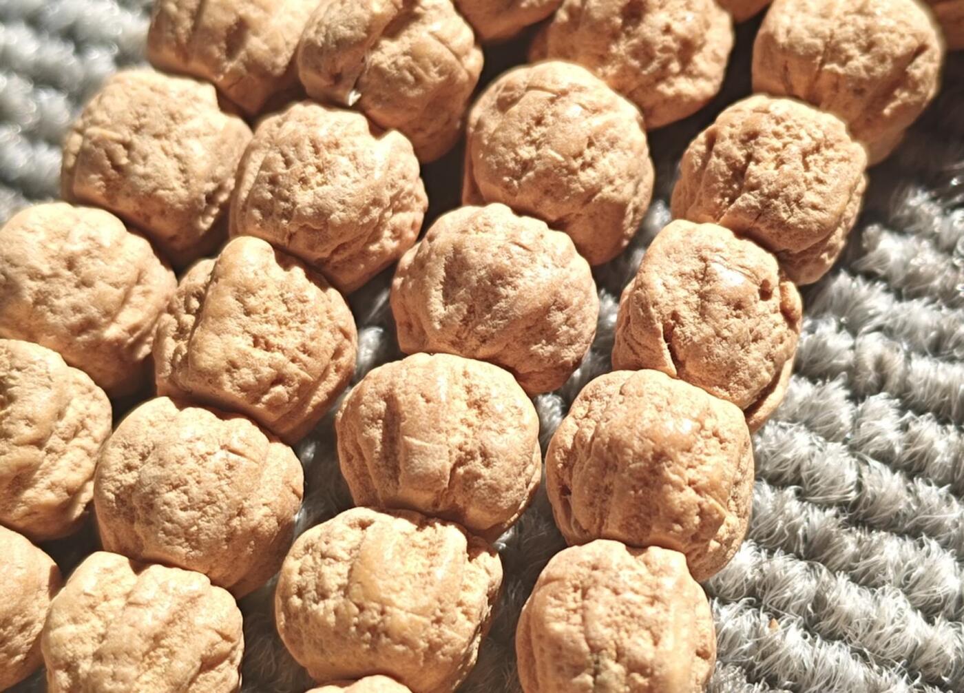 西藏热振寺百香籽