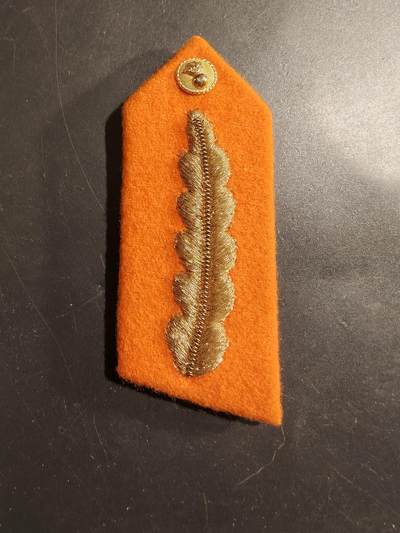 老王徽章第184期 - 马来西亚国民卫队军官2号礼服领章