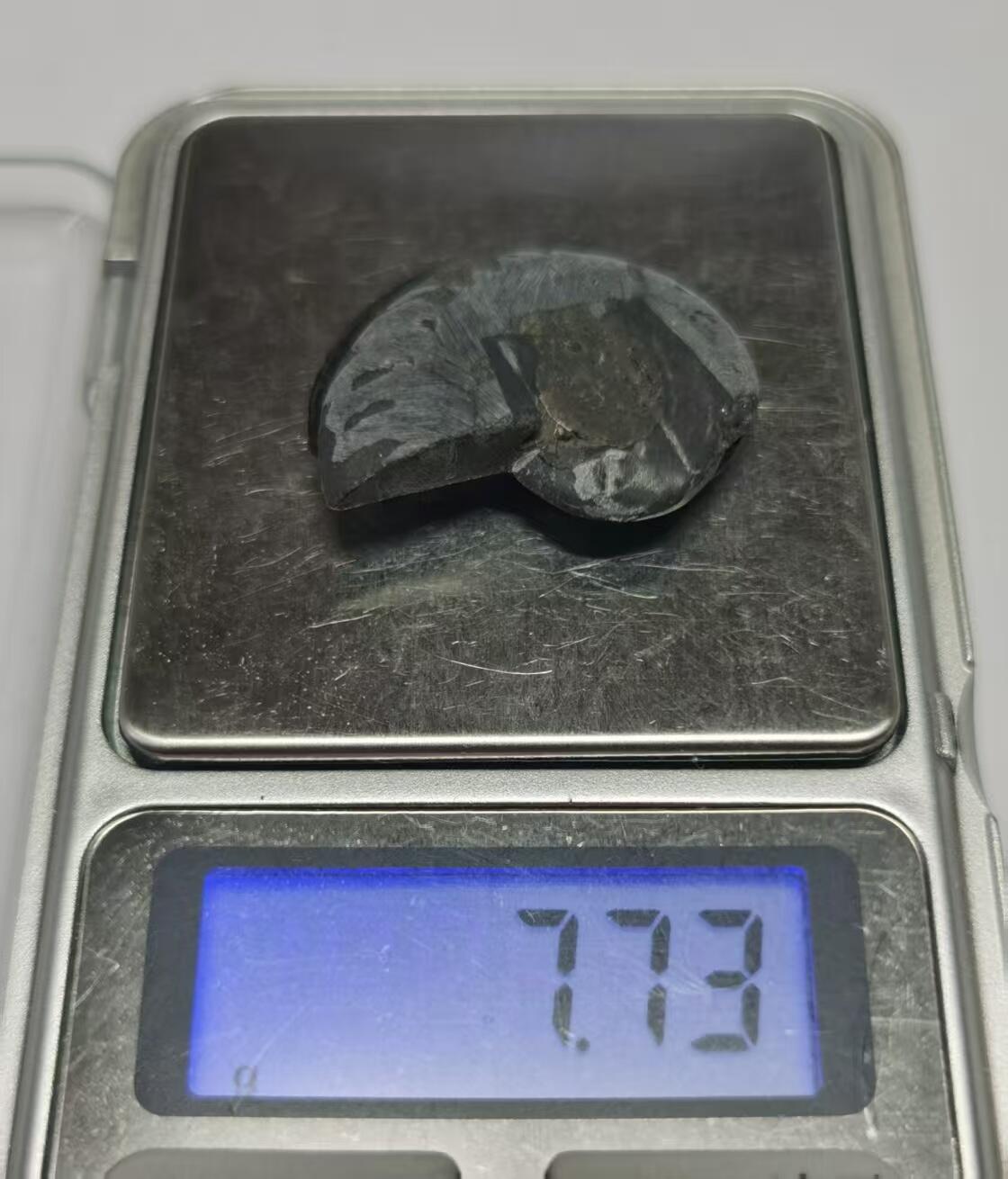 七河·世界世界币章杂件矿标化石小拍（总第38期） 藏家出品 X742（3）对开菊石化石 本件拍品由合作藏家邮寄