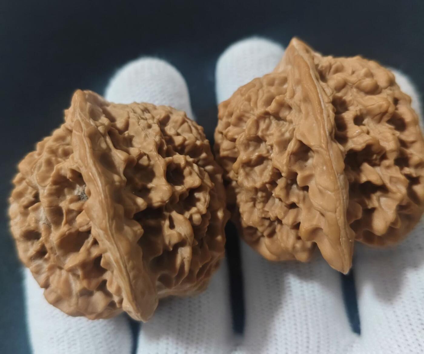 满天星核桃一对