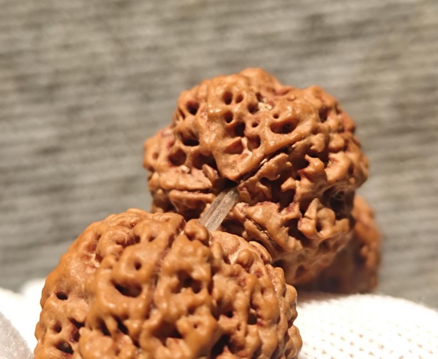 尼泊尔五瓣铁籽蜂窝大金刚