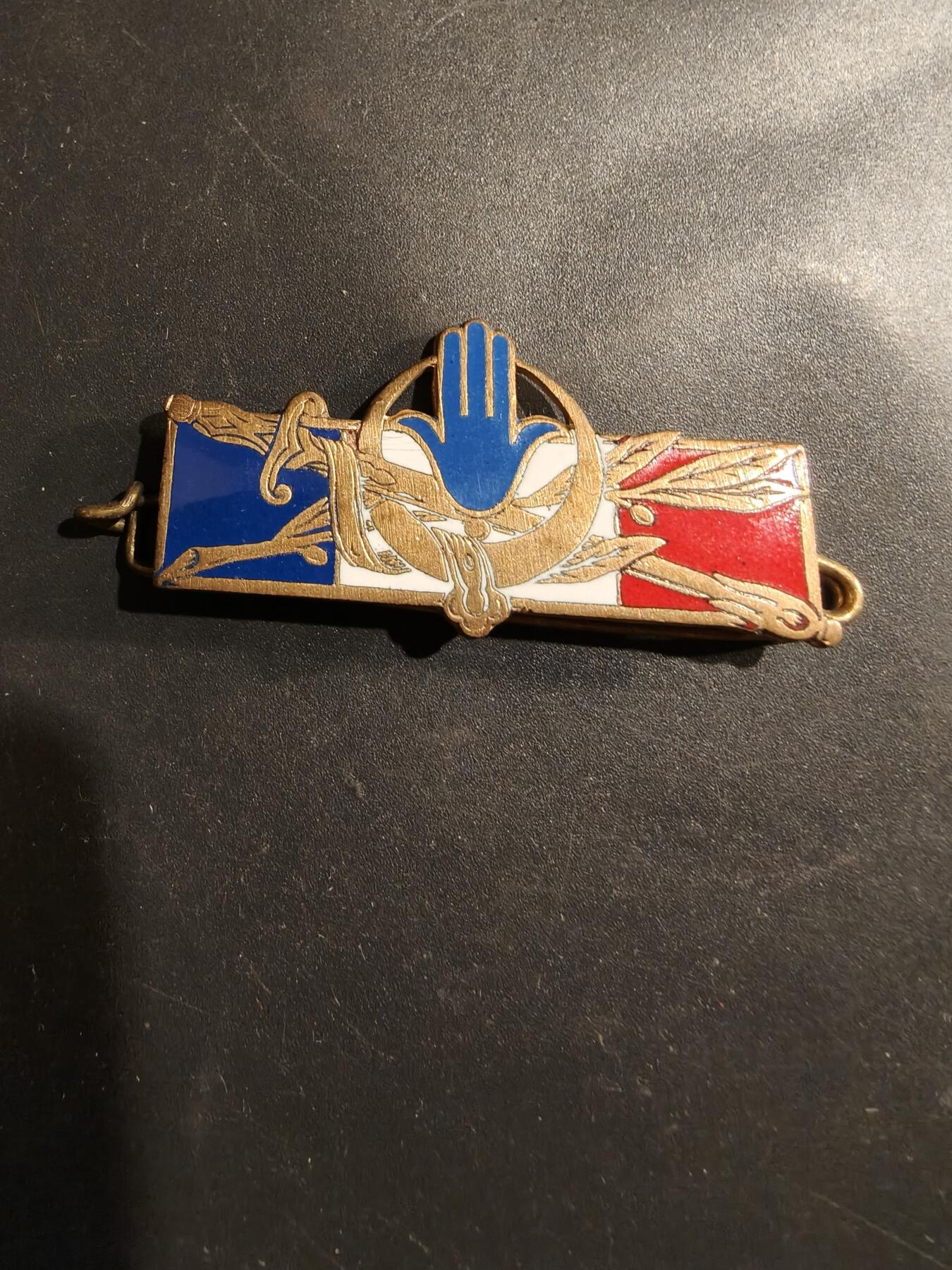 老王徽章第184期 法国北非作战部队证章