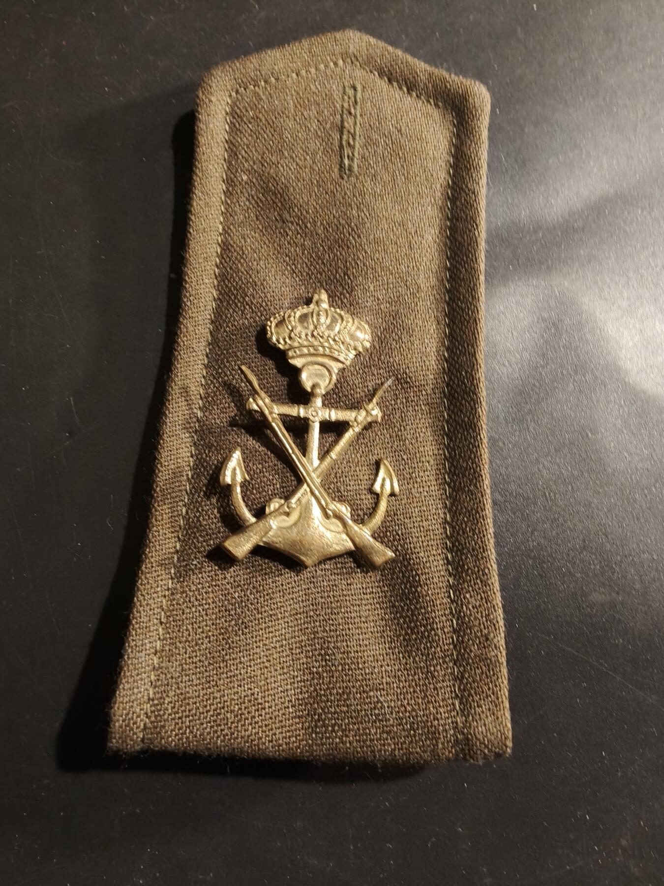 老王徽章第184期