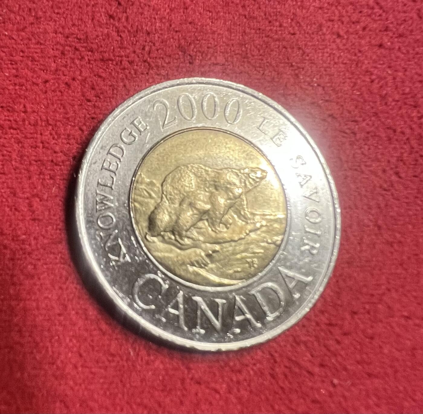 加拿大2000纪念币—母子熊