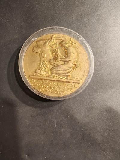老王徽章第184期 - 法国电气公司镀金大铜章    原盒   大师Dropsy作品    直径54mm    重量72.5g