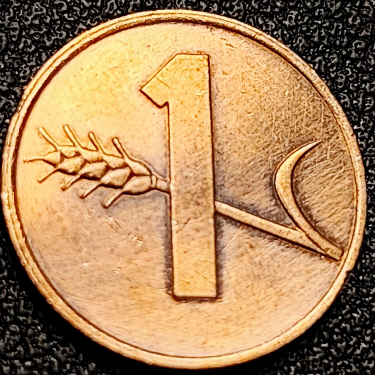 泉币菌-第197场- 新年快乐 新年第5场 本场拍品多 请提前出价