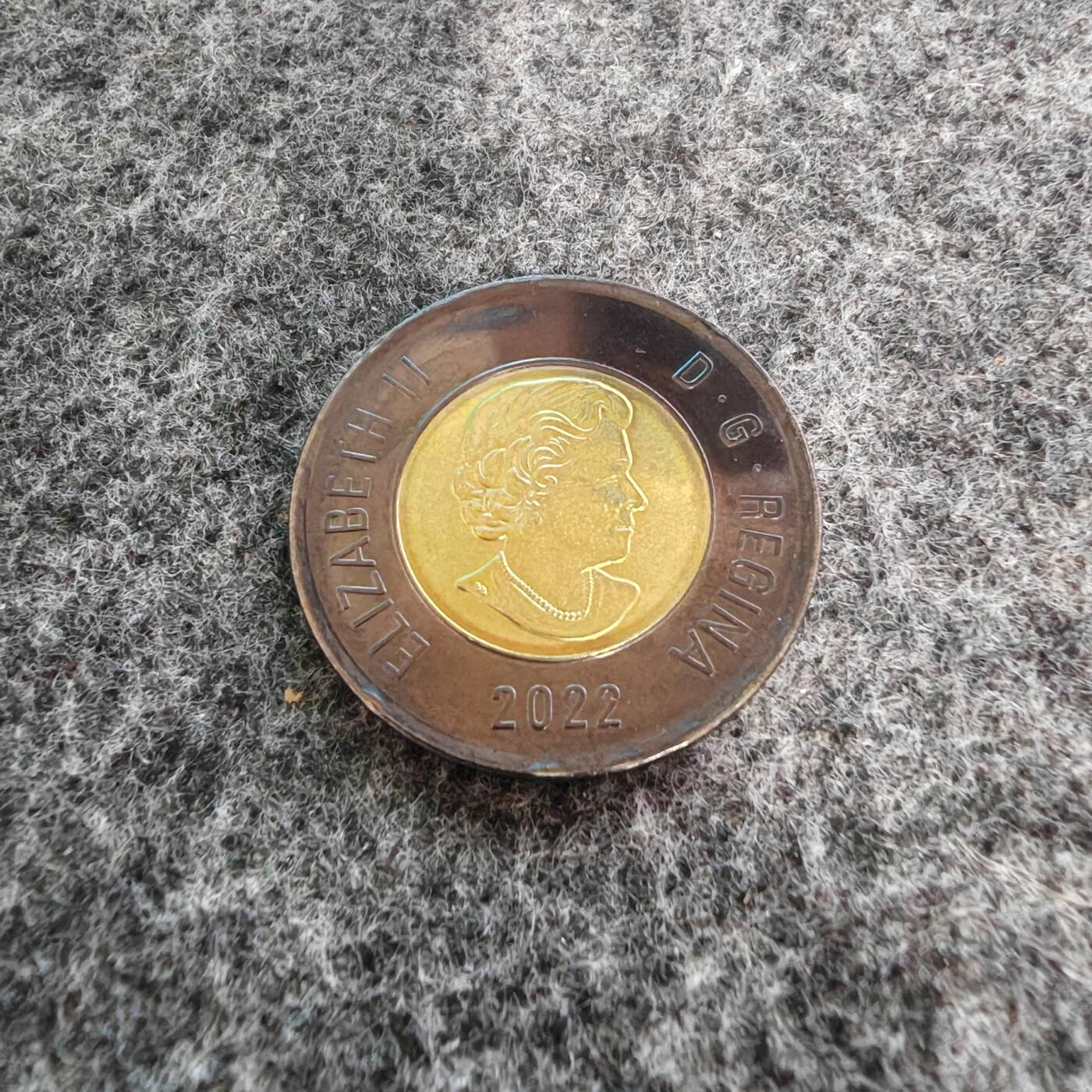 【礼羽收藏】🌏世界钱币拍卖125期