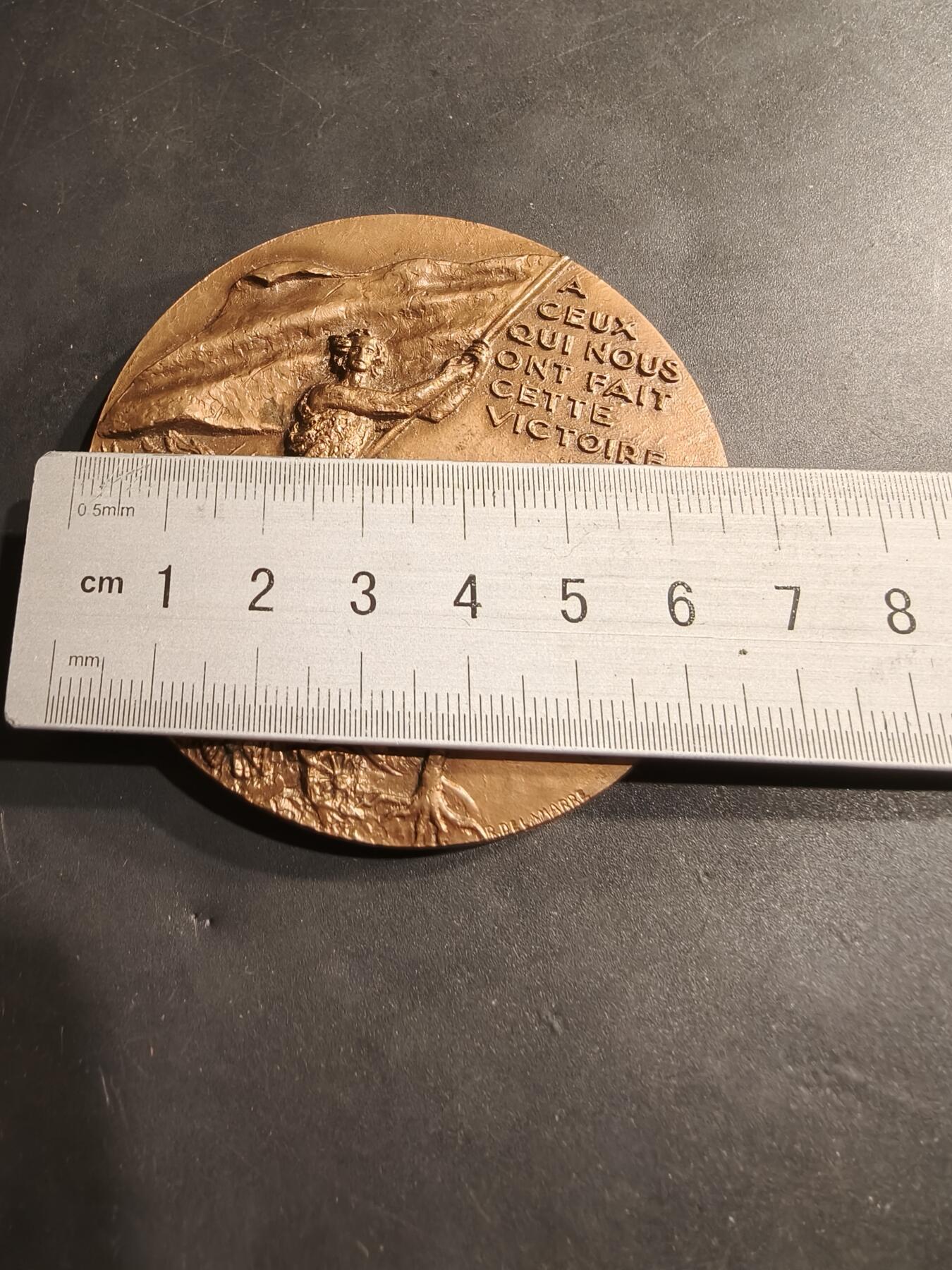 老王徽章第184期 法国一战停战50周年大铜章      直径68mm    重量169.2g