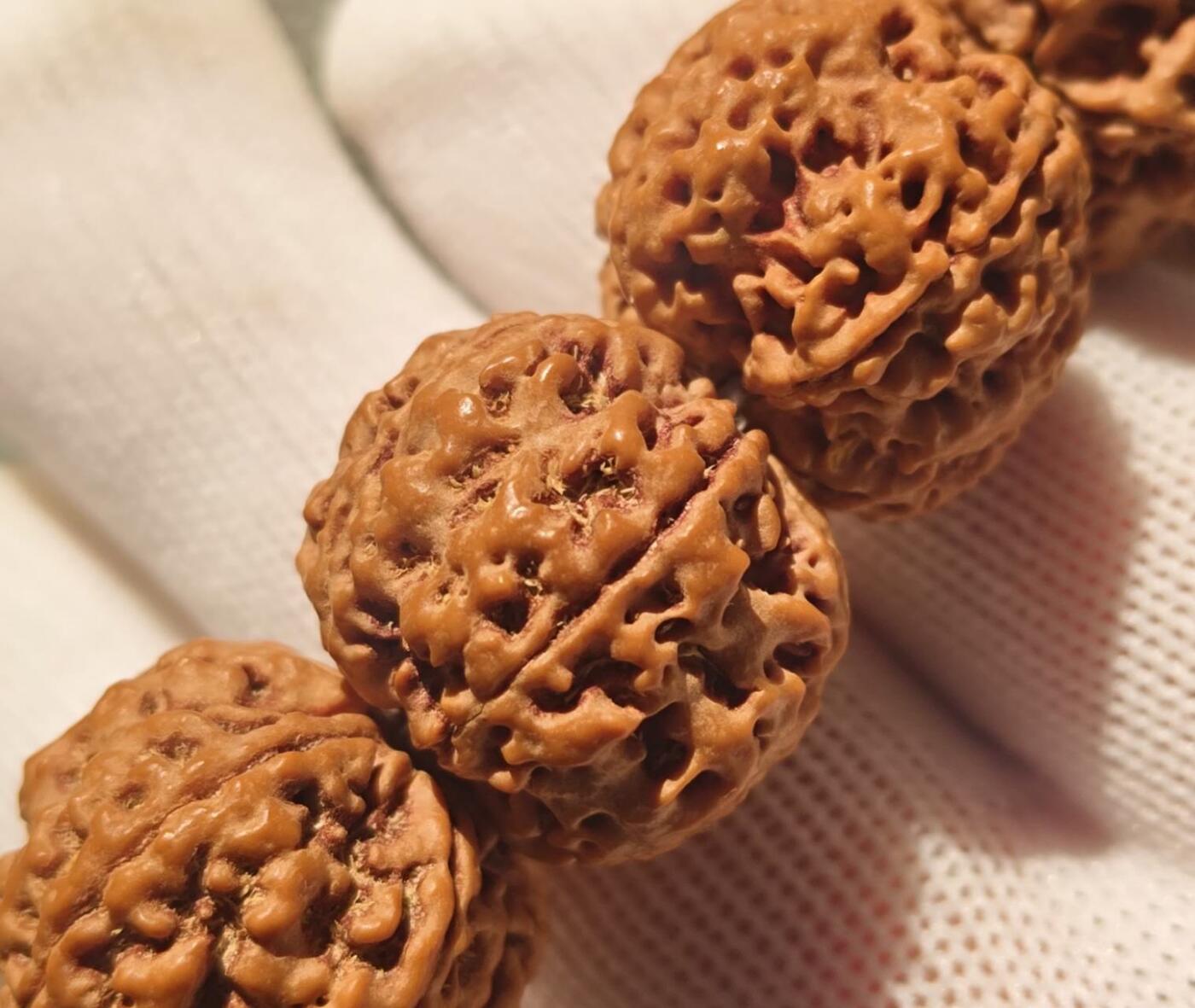 尼泊尔五瓣铁籽蜂窝大金刚